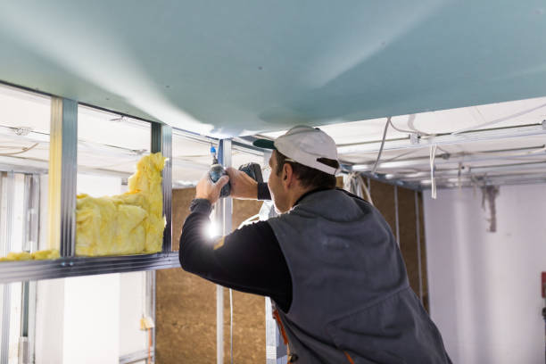 Best Insulation Air Sealing  in Watertown, NY